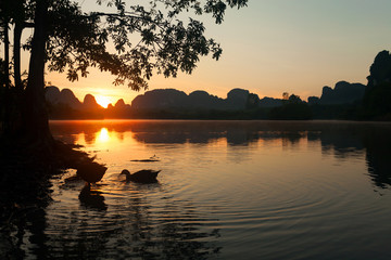 Morning sunrise scenery with ducks in the lake at ban nong thale krabi province thailand.