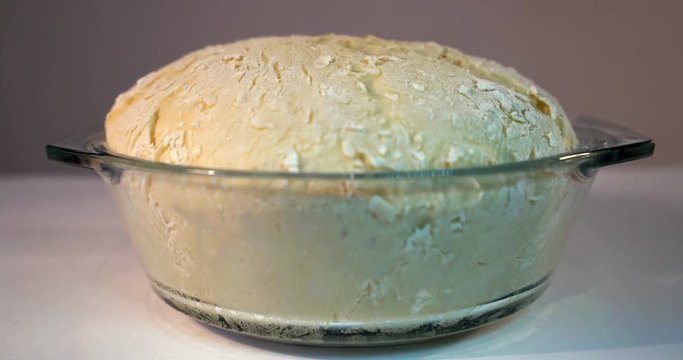Time lapse video of yeast pastry growing in glass plate making cakes bakery preparation