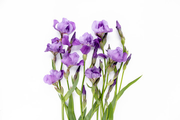 Floral frame made of purple iris flowers bouquet on white background. Flat lay, top view  Frame of flowers. Floral background.