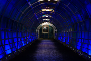 Tunnel is illuminated with blue light