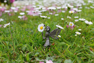 Garden fairy girl holding daisies.
