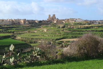 Fototapeta na wymiar Spring view of Gozo island, Malta