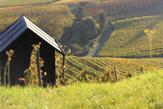 Sommer auf dem Staufenberg