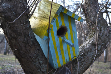 Colorful birdhouse on the tree. Nesting box.