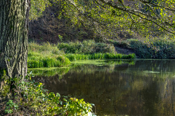 Small pond in the foreground of hills