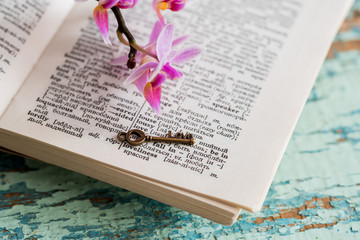 Dictionary page with word 