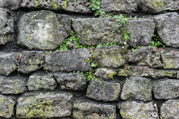 old stone with moss texture