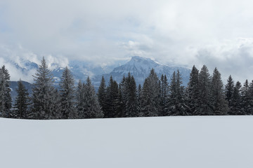 Herrliche Winterlandschaft
