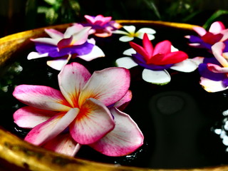 fiori