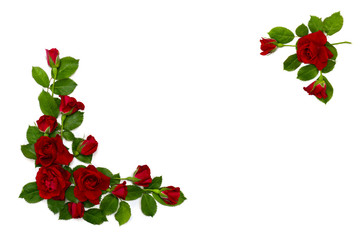 Frame of red roses on a white background with space for text. Top view, flat lay. Valentine decoration.