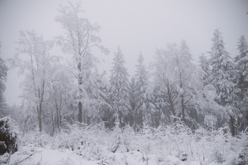 winter background, snow and fog in mountain