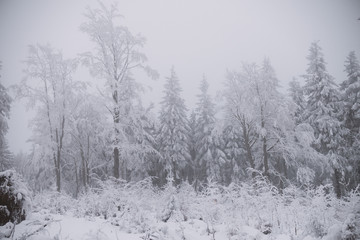 Obraz na płótnie Canvas winter background, snow and fog in mountain