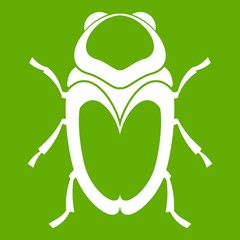 Scarab beetle icon green