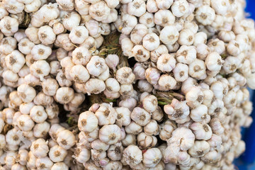 The group of raw garlic