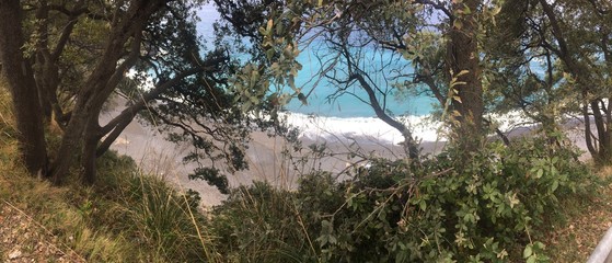 Vista mare tra gli alberi