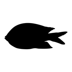 Isolated "Scissortail Sergeant" fish (or Striptailed Damselfish, Abudefduf Sexfasciatus) black silhouette - Eps10 vector graphics and illustration