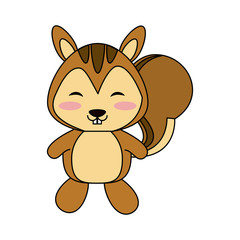 Cute squirrel cartoon icon vector illustration graphic design
