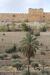 Goldenes Stadttor Jerusalem Israel