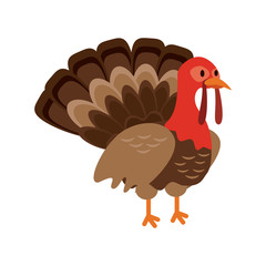 Turkey bird cartoon icon vector illustration graphic design