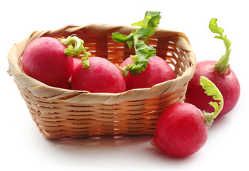 Fresh small radish