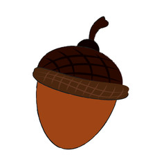 Nut cartoon isolated icon vector illustration graphic design