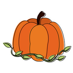 Pumpkin fresh vegetable icon vector illustration graphic design