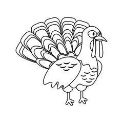 Turkey bird cartoon icon vector illustration graphic design