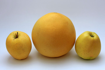 tasty ripe apples and citrus