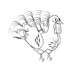 Turkey bird cartoon icon vector illustration graphic design