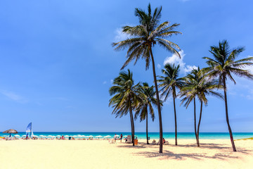 vacation on the beach on the hot Caribbean islands with green palms, yellow sand, blue sky