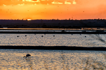 Sunset at Odiel river marshes in Huelva, Spain, a natural bird and wildlife sanctuary