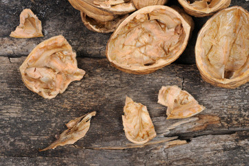 Walnuts. Front view.