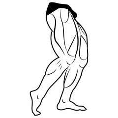 Vector image lower body man. The muscles of the legs. White background
