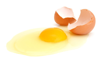 eggs on a white background