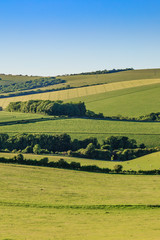Fototapeta na wymiar Idyllic Sussex Landscape