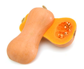 Butternut squash isolated on white background