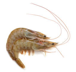 Raw shrimp isolated on white background
