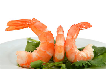 cooked unshelled tiger shrimps and mint in plate on white