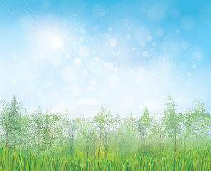 Obraz premium Vector summer landscape with blue sun shine sky and forest background.