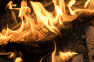 Fire