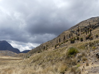 Glacier de Pastoruri à Huaraz dans la Cordillère des Andes au Pérou
