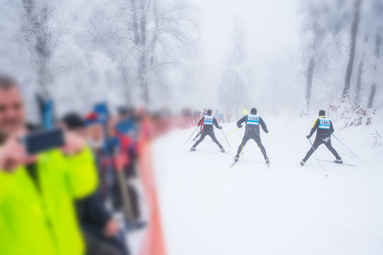 nordic ski athlete on the track in professional race