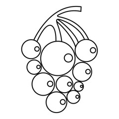 Ripe grape icon. Outline illustration of ripe grape vector icon for web