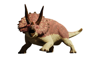 Triceratops horridus dinosaur  © dottedyeti