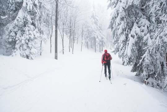 Cross country, winter nature, white edit space, sport photo