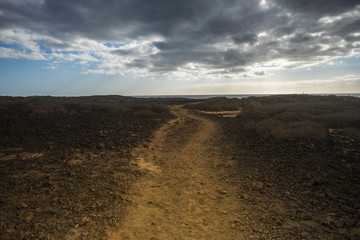 Path on the ground in the desert. Ocean at the end.