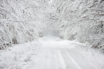 Road covered in heavy snow through a wood