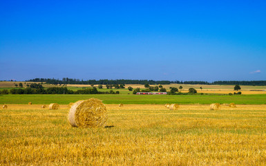 Hay on the field in summer sunset with mountains background 