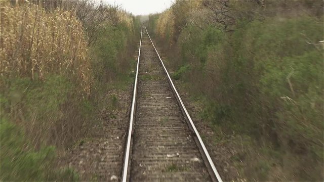 Looking Outside from the Back of a Train Car Moving Among Wild Shrubs and Trees in Entre Rios Province, Argentina.