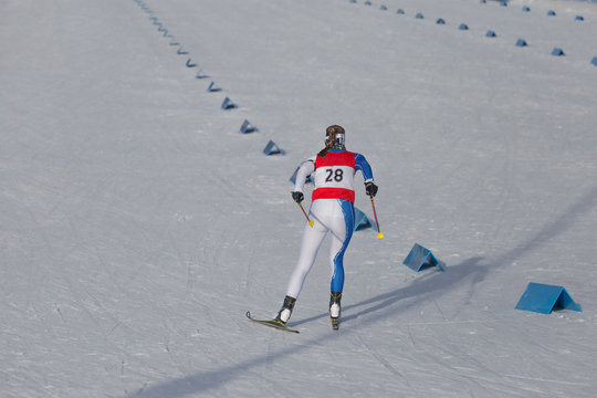 Cross country skiing race, woman skier rear view